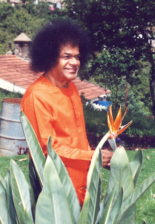 Beloved Bhagawan Sri Sathya Sai Baba